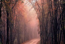 瓦朗谢纳客场告捷，冲刺法甲前四